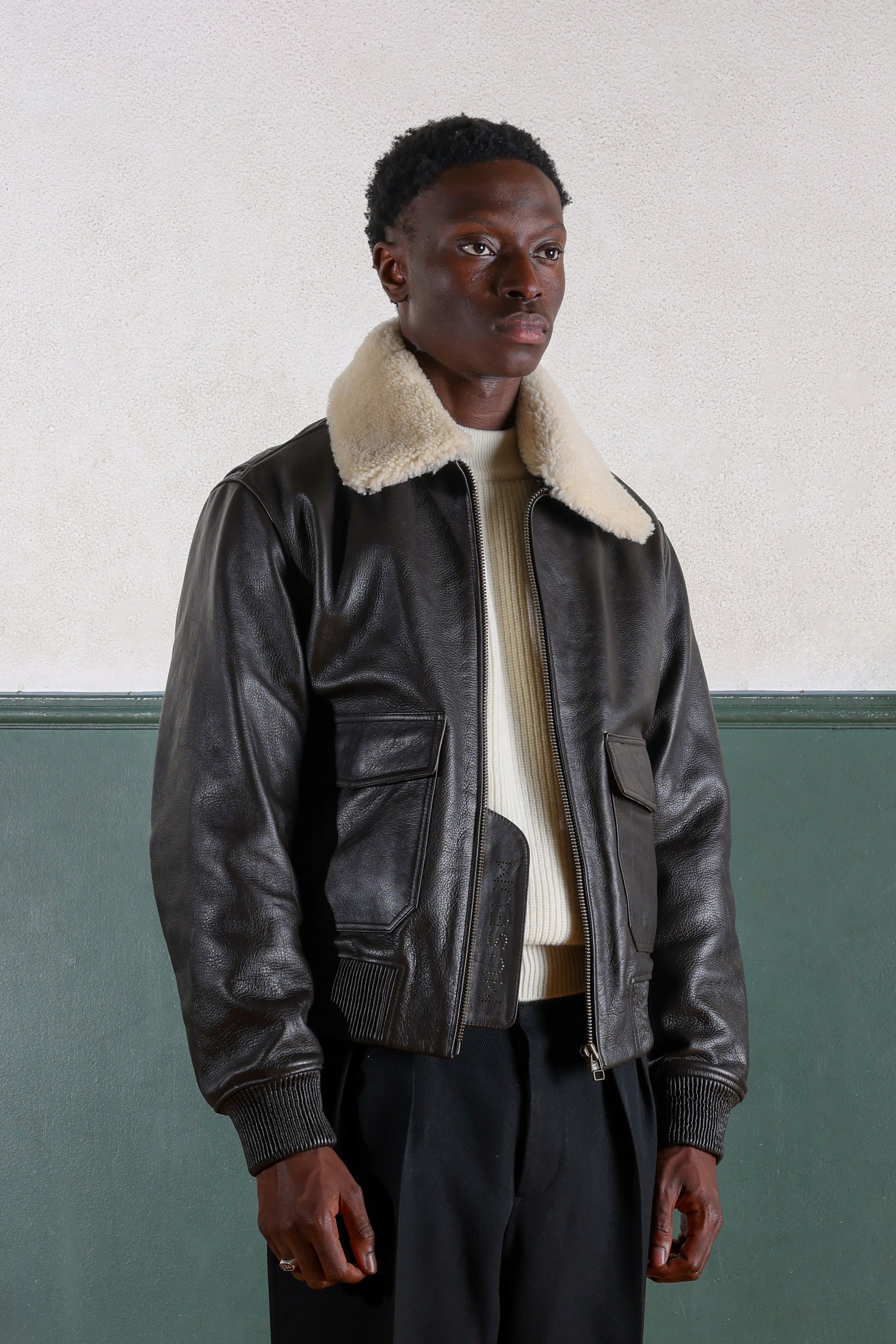 Flight Jacket - Leather - Brown